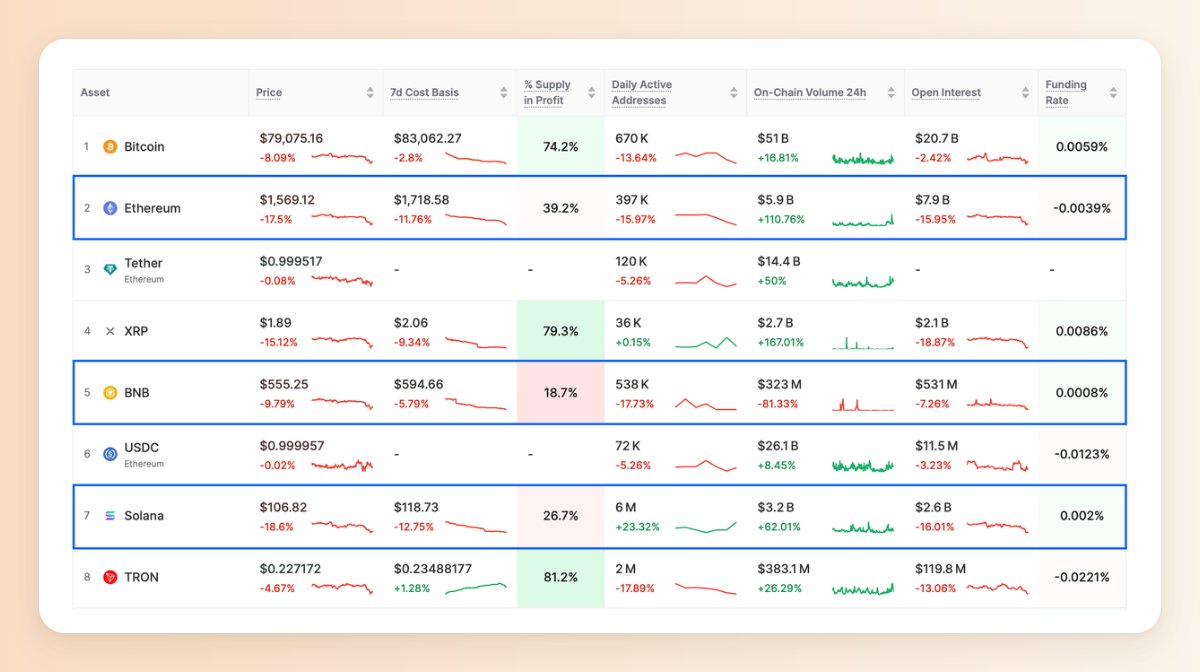Stacy Muur tweet media