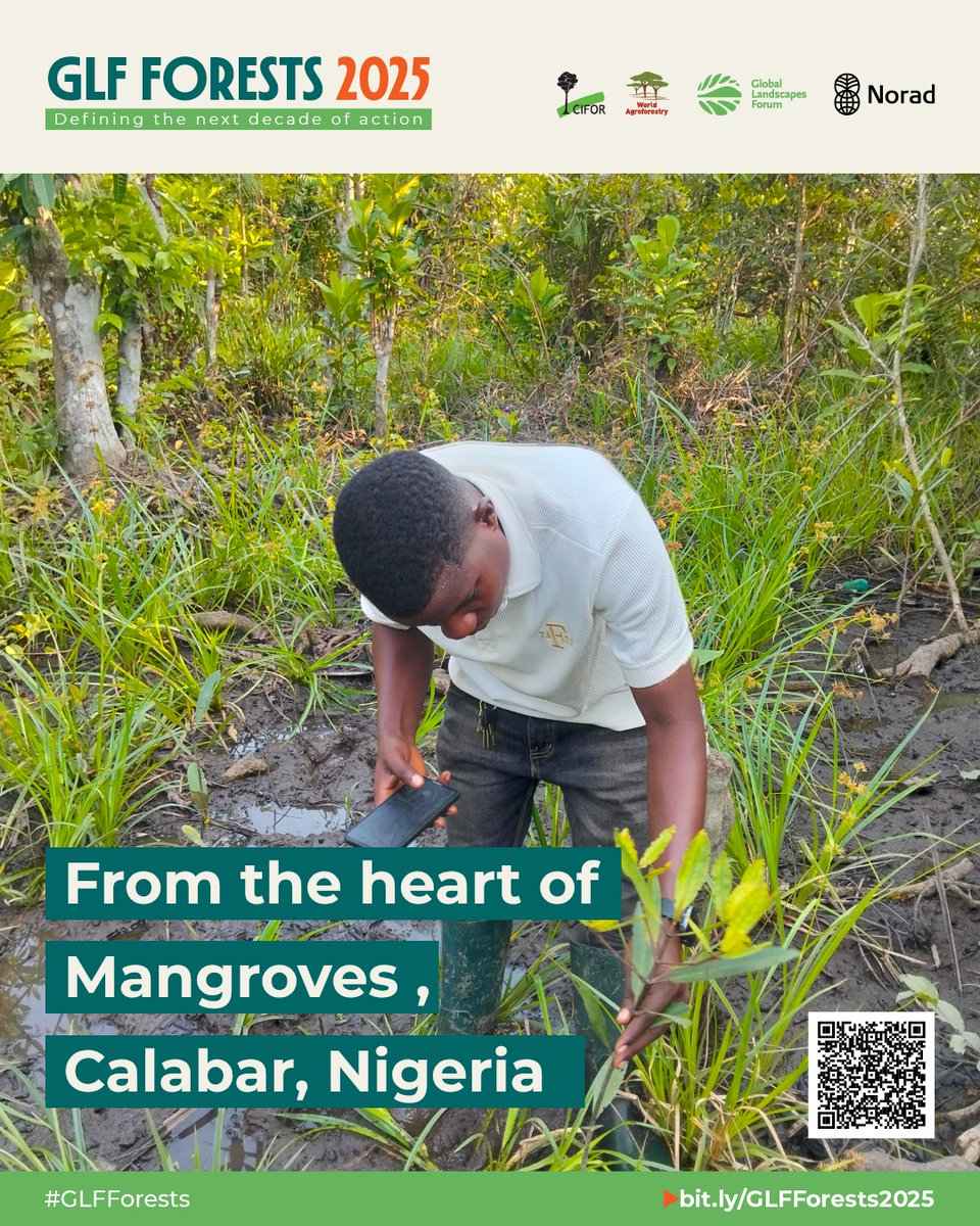 BRC_NG's tweet image. linkedin.com/posts/biodiver…

#ForestDay 
#GLFForest
#BRC