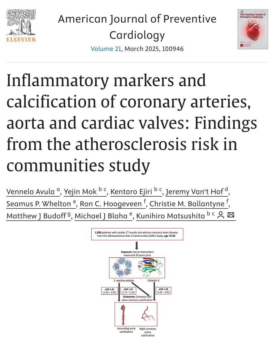 AJPC (@ajpcardio) on Twitter photo Inflammatory Markers & Calcification of the coronary arteries, aorta, and cardiac valves — key findings from the ARIC (Atherosclerosis Risk in Communities) Study. Dive into the connection between inflammation and cardiovascular calcification. ow.ly/iWpb50Vw37b <a href="/VennelaAvula/">Vennela Avula</a> Inflammatory Markers & Calcification of the coronary arteries, aorta, and cardiac valves — key findings from the ARIC (Atherosclerosis Risk in Communities) Study. Dive into the connection between inflammation and cardiovascular calcification. ow.ly/iWpb50Vw37b <a href="/VennelaAvula/">Vennela Avula</a>