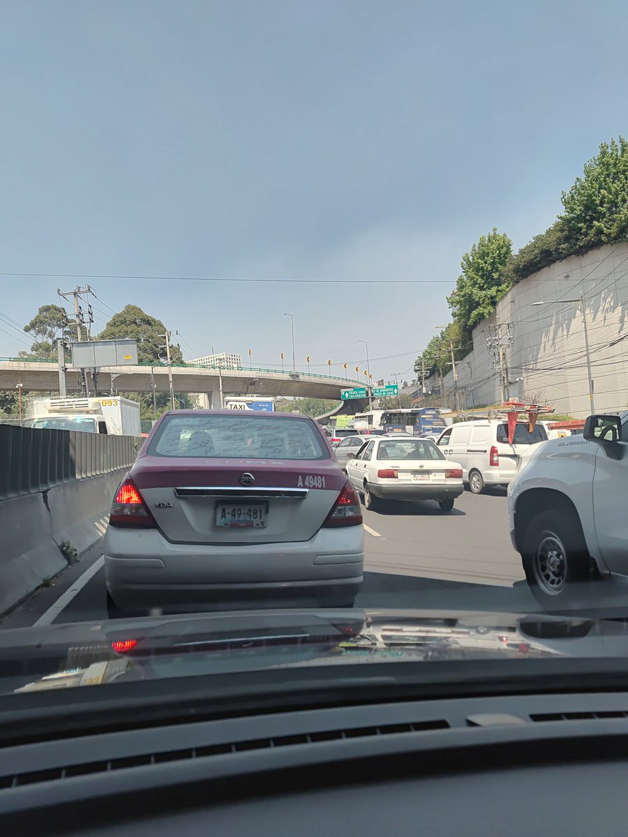 ProBosques de las Lomas (@probosques) on Twitter photo 