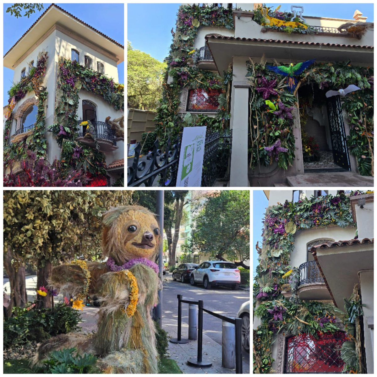 #TurismoyNegocios | ¡Costa Rica es el país invitado en el Festival de Flores y Jardines Polanco! 🇨🇷
Disfruta de una experiencia inmersiva con la flora y fauna costarricense, un totem de perezoso gigante y actividades para toda la familia.

zurl.co/mp3nb