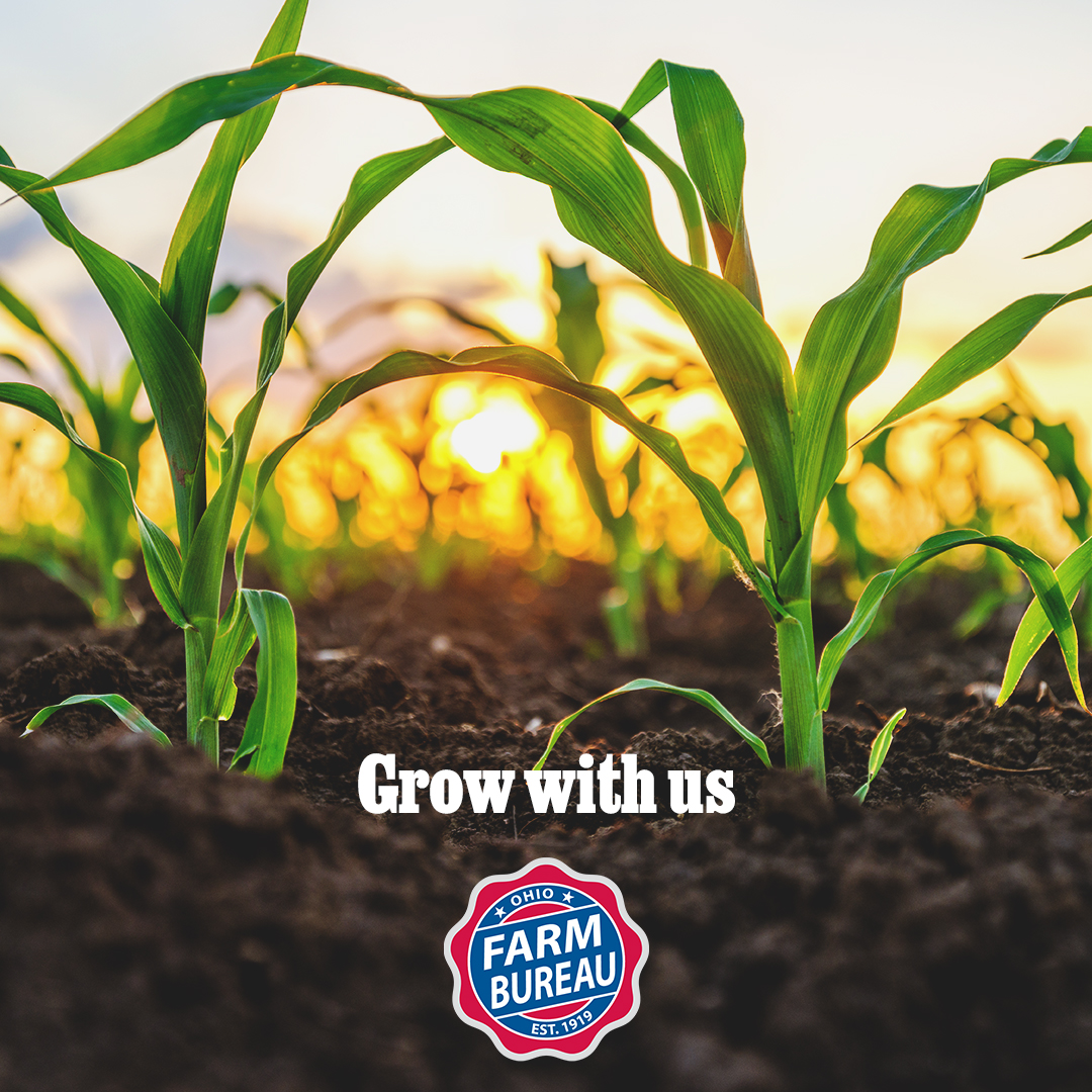 🌱 Grow with Ohio Farm Bureau! 🌱

We provide industry connections that help cultivate growth opportunities for our members. 
 
Grow your farm’s future with Ohio Farm Bureau! Renew your membership or join today!

Learn more at OhioFarmBureau.org.