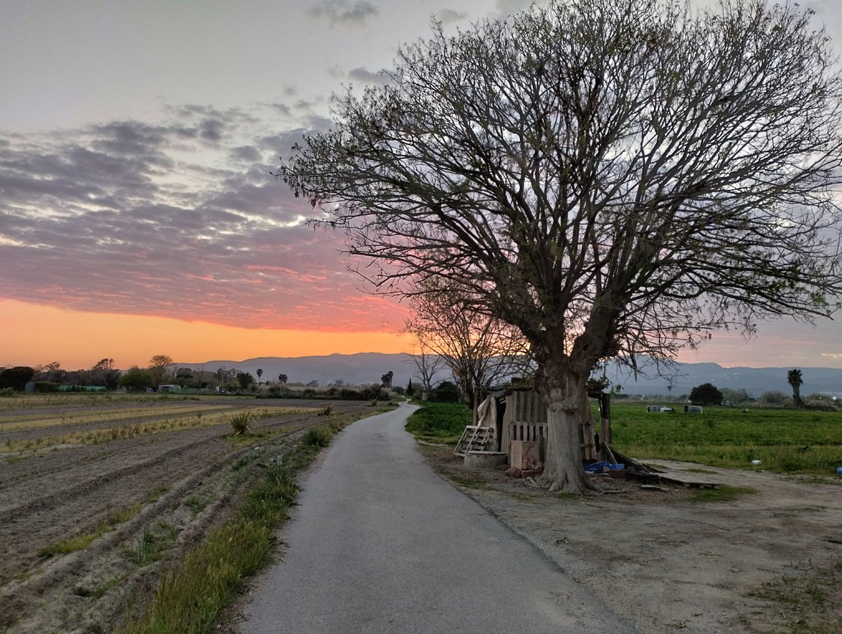 jairoalonso (@jairoalonso) on Twitter photo DAY 07 OF 30. Sunset commute after work by El Baix Llobregat seafront and Gavà Mar farms. #30daysofbiking #gavà #viladecans #30diesambbici #30diesenbici #30dob #30deb <a href="/bricklanebikes/">Brick Lane Bikes</a> <a href="/30daysofbiking/">30 Days of Biking</a> <a href="/30diasenbici/">30 Días en Bici</a> <a href="/30diesambbici/">@30diesambbici</a> <a href="/ParcsplatgesAMB/">Parcs i platges AMB</a> <a href="/AjuntamentGava/">Ajuntament de Gavà</a> <a href="/bicicletaAMB/">Bicicleta AMB</a> DAY 07 OF 30. Sunset commute after work by El Baix Llobregat seafront and Gavà Mar farms. #30daysofbiking #gavà #viladecans #30diesambbici #30diesenbici #30dob #30deb <a href="/bricklanebikes/">Brick Lane Bikes</a> <a href="/30daysofbiking/">30 Days of Biking</a> <a href="/30diasenbici/">30 Días en Bici</a> <a href="/30diesambbici/">@30diesambbici</a> <a href="/ParcsplatgesAMB/">Parcs i platges AMB</a> <a href="/AjuntamentGava/">Ajuntament de Gavà</a> <a href="/bicicletaAMB/">Bicicleta AMB</a>
