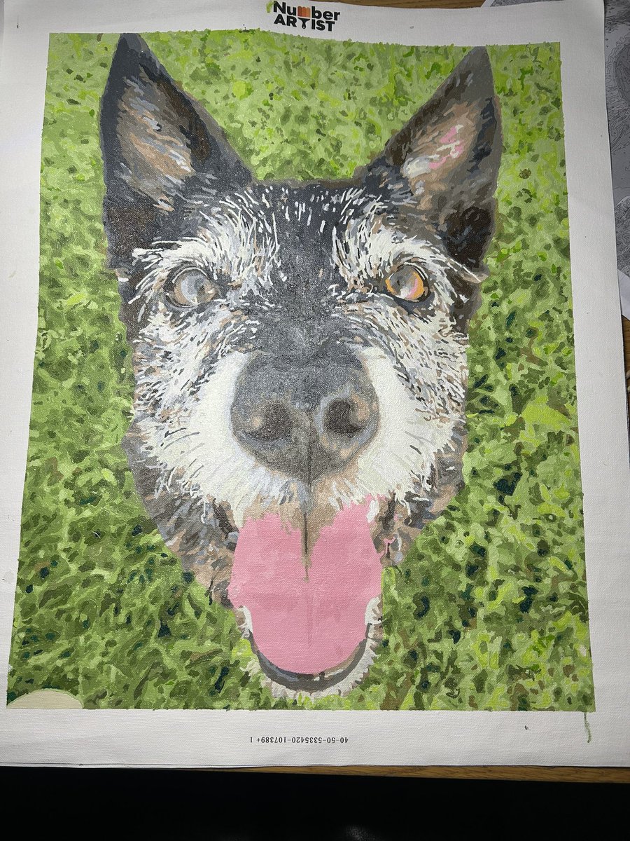 I took to number painting to try and keep my mind off work.  Few days of a job, couple of podcasts later….. my little Jetdog.  Really enjoyed it!