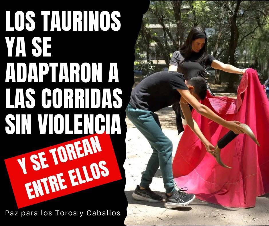 Walt Dice (@walt_dice) on Twitter photo Que belleza ! Y al que no le guste, que no vaya ! <a href="/VictoriaAnimal/">Sofía Victoria ⓥ</a> <a href="/RicardoBSalinas/">Don Ricardo Salinas Pliego</a> <a href="/ChuchoSesmaPVEM/">Jesús Sesma</a> <a href="/Antitaurino1111/">Anti Taurinos Unidos</a> <a href="/alegarssia_/">Ale Garssia</a> <a href="/AnaJVillagran/">Ana J Villagrán</a> <a href="/DavidFaitelson_/">David Faitelson</a> <a href="/josemariaferez/">Josemaría Férez</a> Que belleza ! Y al que no le guste, que no vaya ! <a href="/VictoriaAnimal/">Sofía Victoria ⓥ</a> <a href="/RicardoBSalinas/">Don Ricardo Salinas Pliego</a> <a href="/ChuchoSesmaPVEM/">Jesús Sesma</a> <a href="/Antitaurino1111/">Anti Taurinos Unidos</a> <a href="/alegarssia_/">Ale Garssia</a> <a href="/AnaJVillagran/">Ana J Villagrán</a> <a href="/DavidFaitelson_/">David Faitelson</a> <a href="/josemariaferez/">Josemaría Férez</a>