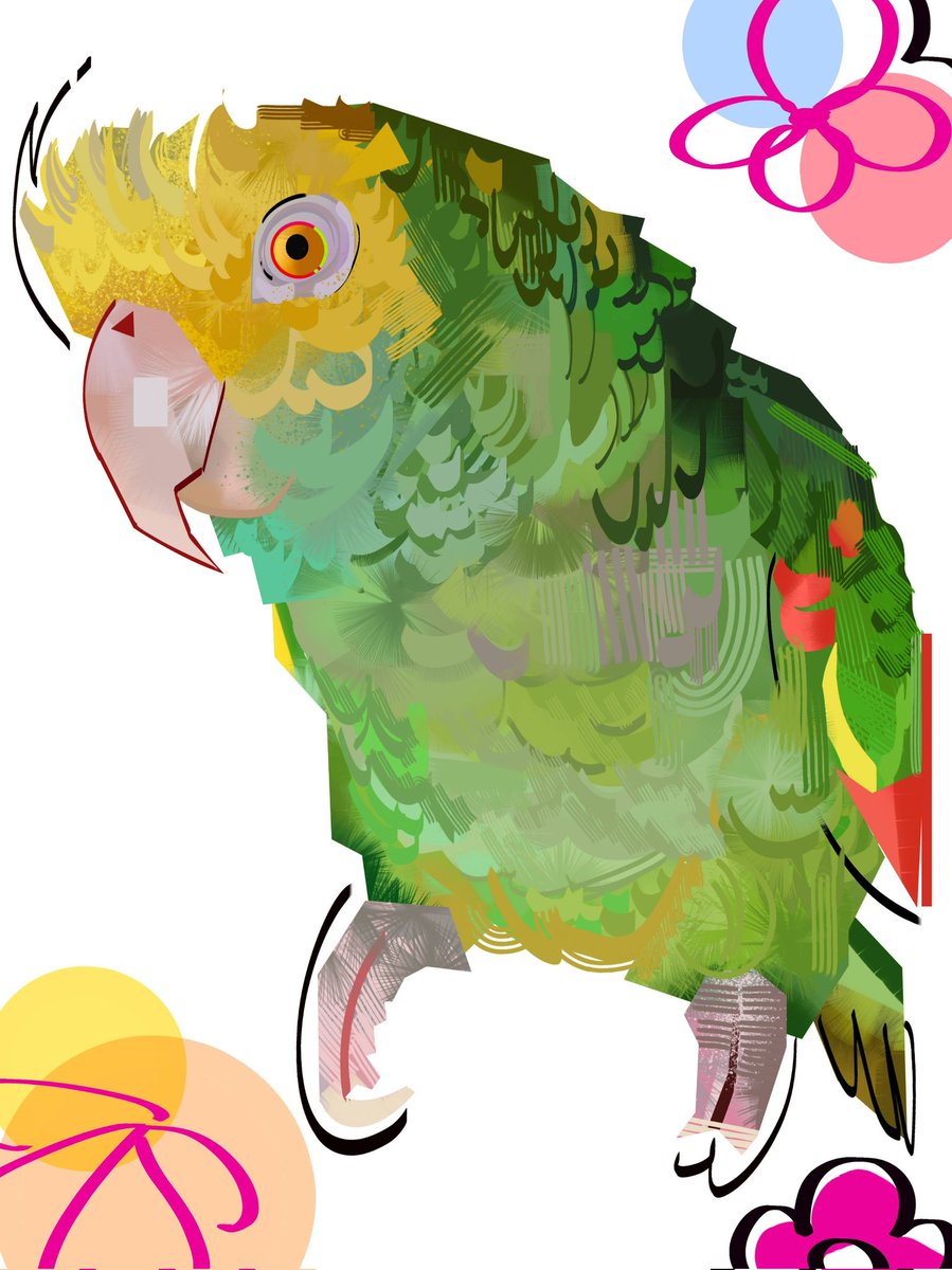 ★Nate D Hernandez★ tweet media