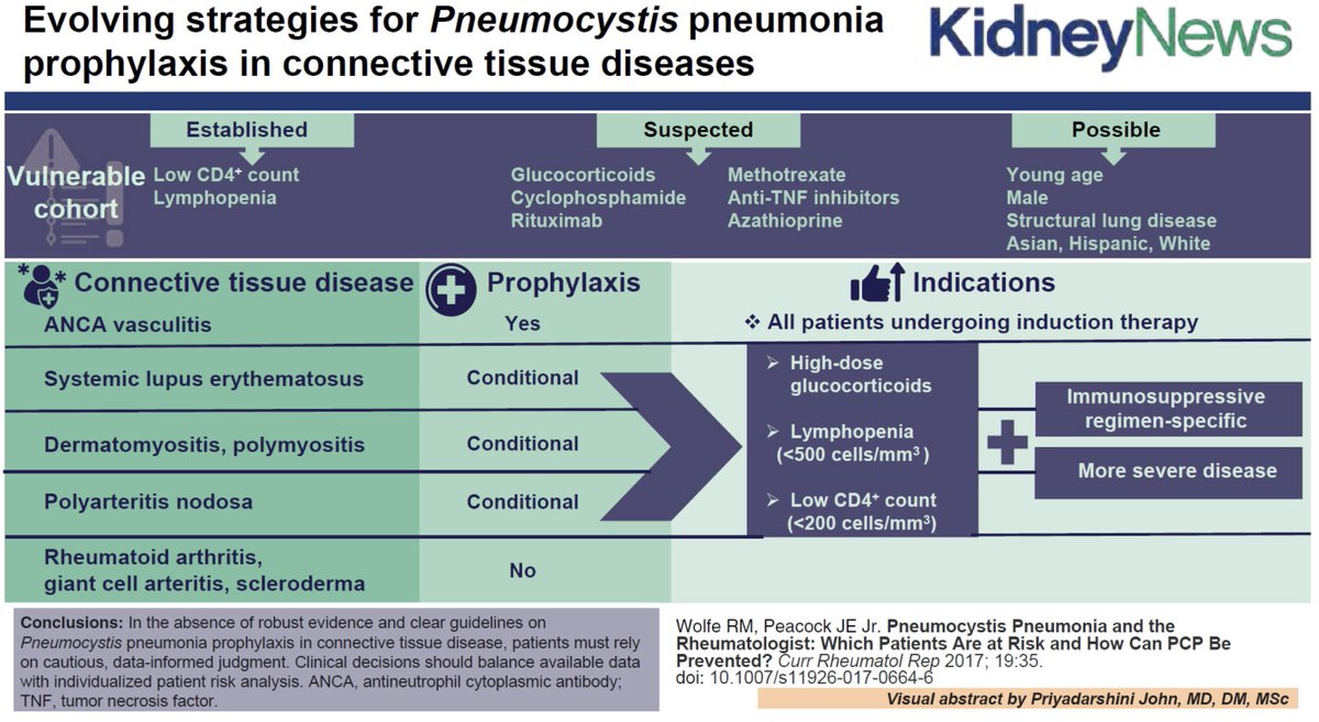 New from #NephFellow Dr Tomasi and colleagues in ASN Kidney News @ASNPublications

Should Patients Receiving Induction for Lupus Nephritis Receive PJP Prophylaxis? An Opportunistic Discussion Between Nephrology and Rheumatology

kidneynews.org/view/journals/…