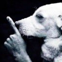 weithardo's tweet image. 