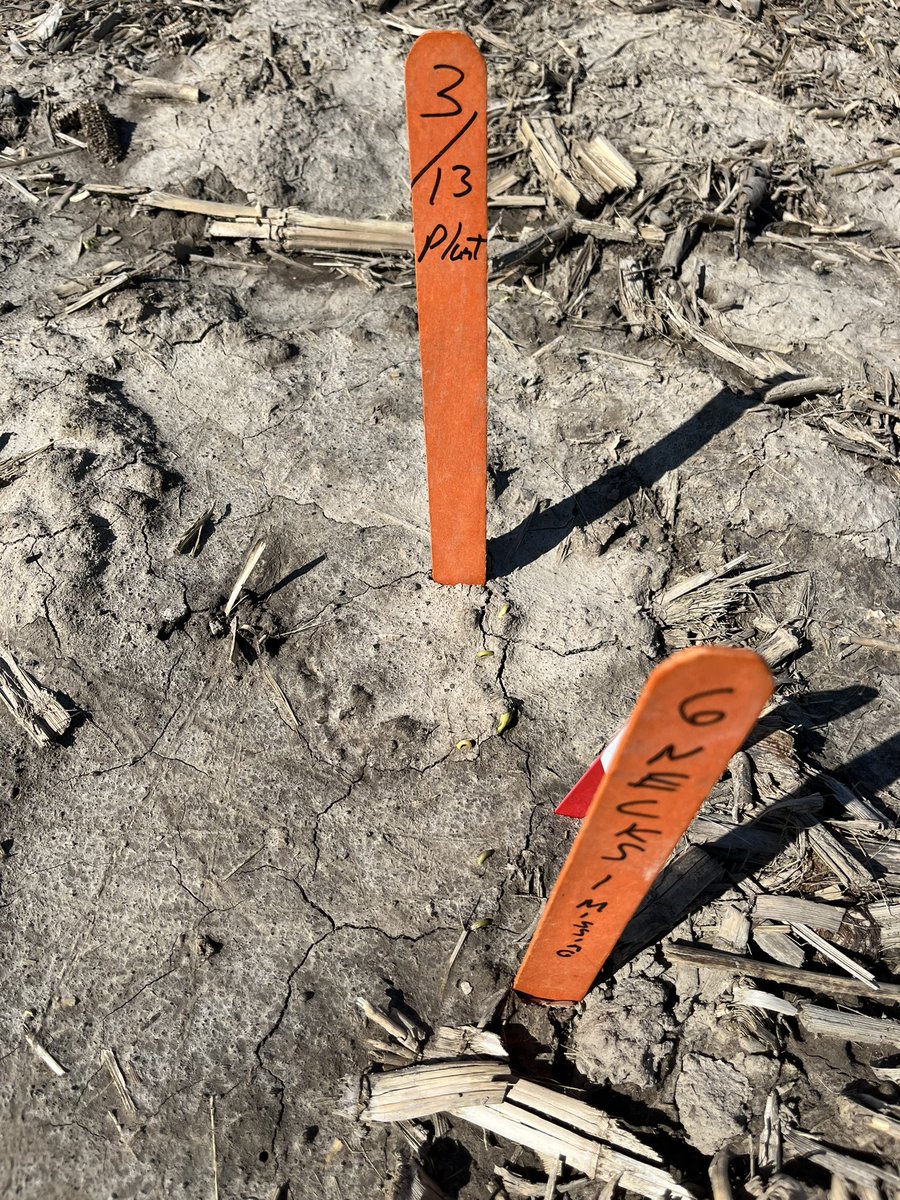 Well we will see what happens tonight on our <a href="/InVISION_HiSOY/">FSInVISION_FSHiSOY</a>  HS 39E40s planted on 3/13, tonight forecast is for 26, marked a small area in the hook stage, not many in the plot this far along though, also have another rep planted 3/26, and add in 2 more planting dates #learning