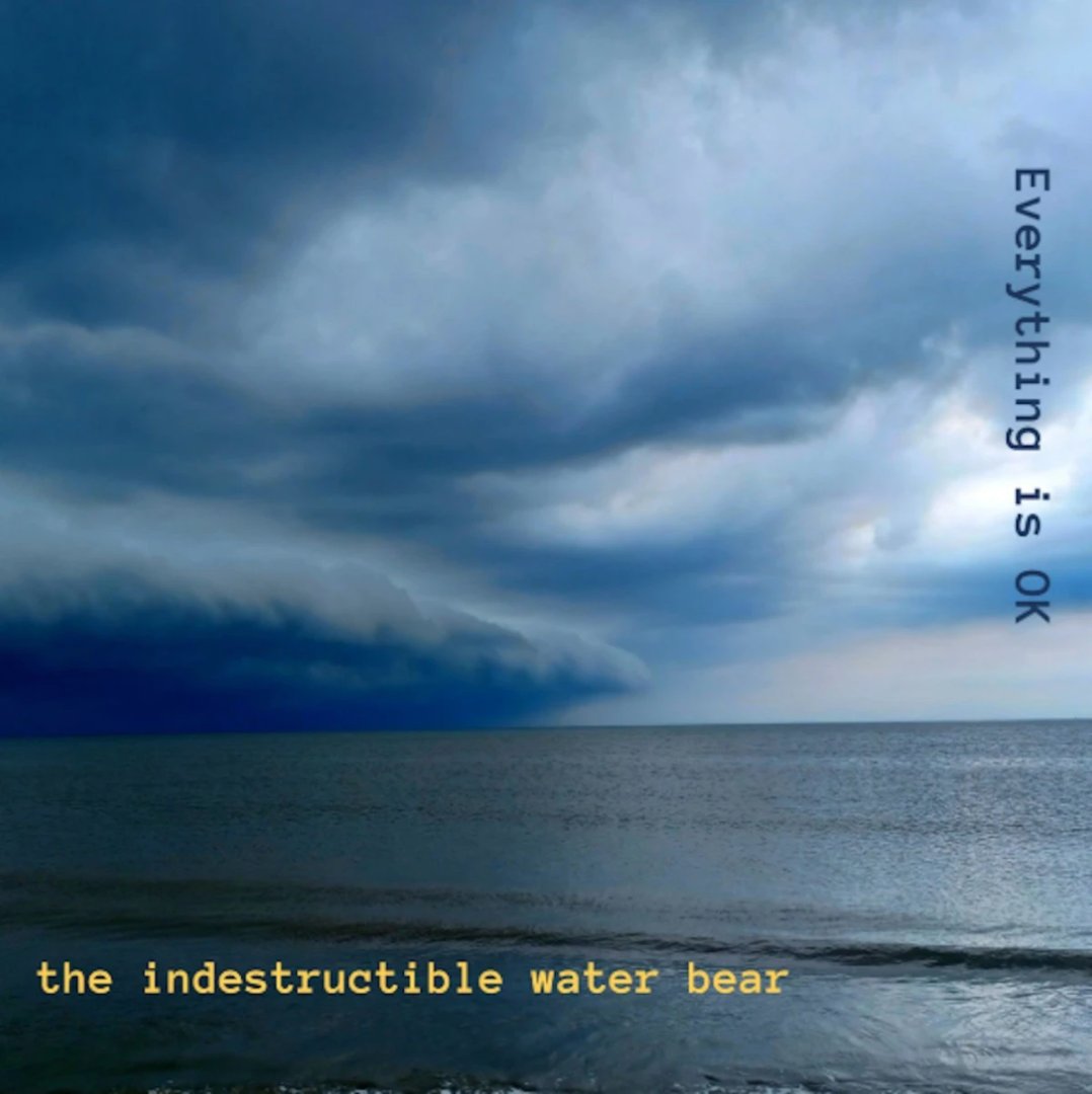 v13media's tweet image. With 'Everything is OK' (Superfluous Records), The Indestructible Water Bear distills dream-pop and indie-rock into a remarkably satisfying debut album. 
🔗: v13.net/2025/04/the-in…

#EverythingisOK #SuperfluousRecords #TheIndestructibleWaterBear #dreampop #indierock #albumreview