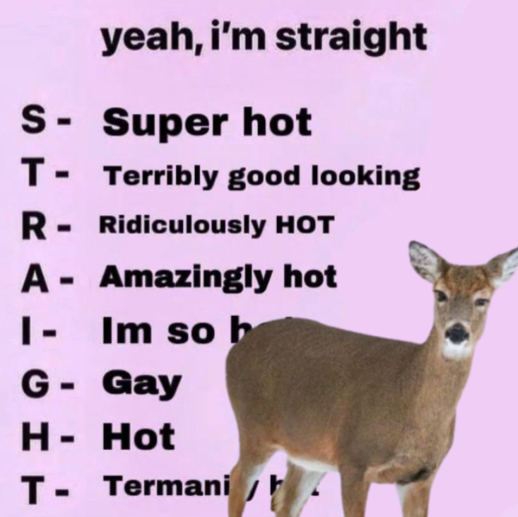 deertexting's tweet photo. https://t.co/mAS5t7aslm