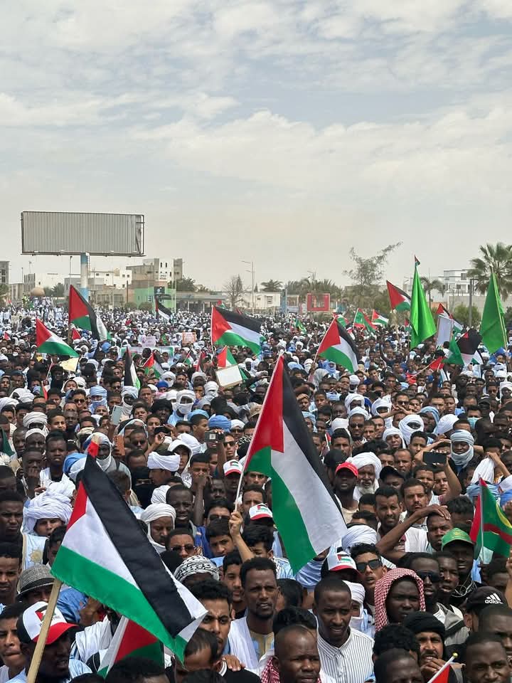 Homohamed5's tweet photo. مناطق متفرقة من #موريتاتيا تخرج تضامنا مع #غزة #فلسطين https://t.co/pBABrjkpt7