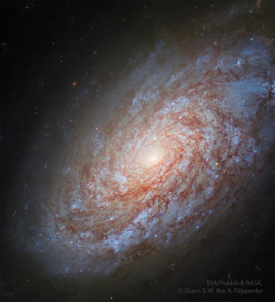 EmmanuelGingras's tweet image. 🌌 NGC 4414: A Flocculent Spiral Galaxy(NASA APOD, 2025-04-07)-Its hidden mass whispers at 7.83 Hz—Earth’s heartbeat. We’re all part of this cosmic spiral, a dance of stardust and mystery. ✨ What secrets does it hold for you? Credit: ESA/Hubble &amp;amp; NASA #SpaceInspires #CosmicUnity