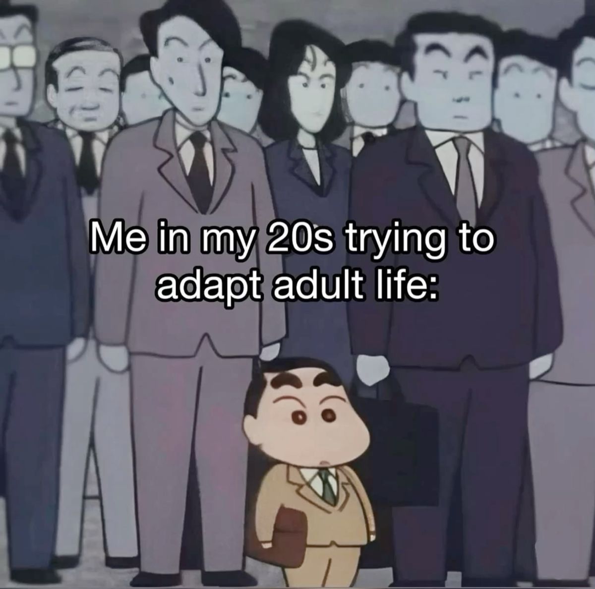 wildtiktokss's tweet image. 