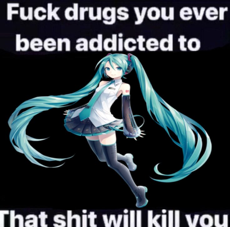 miku daily (@miku_daily39) on Twitter photo 