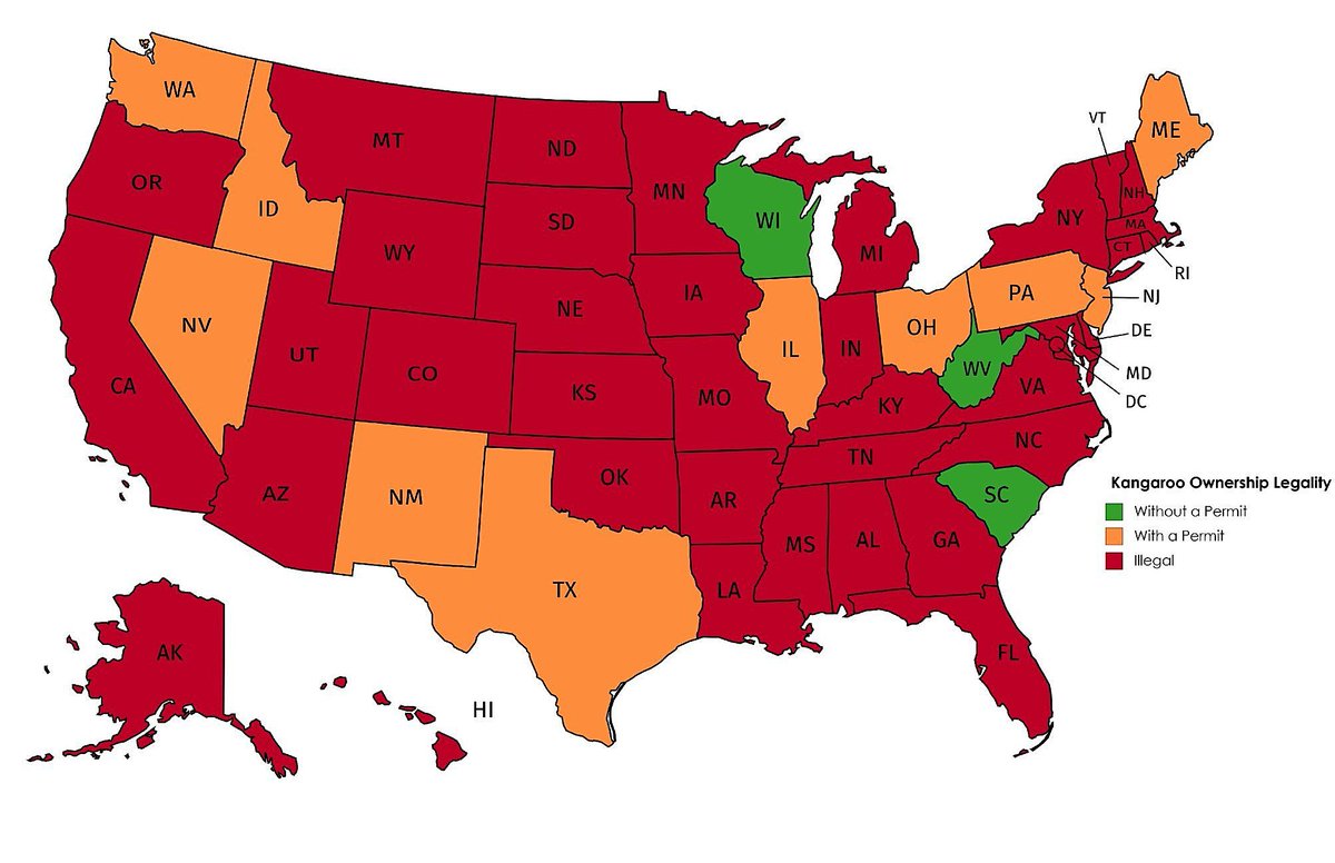 The legality of owning a kangaroo in the US