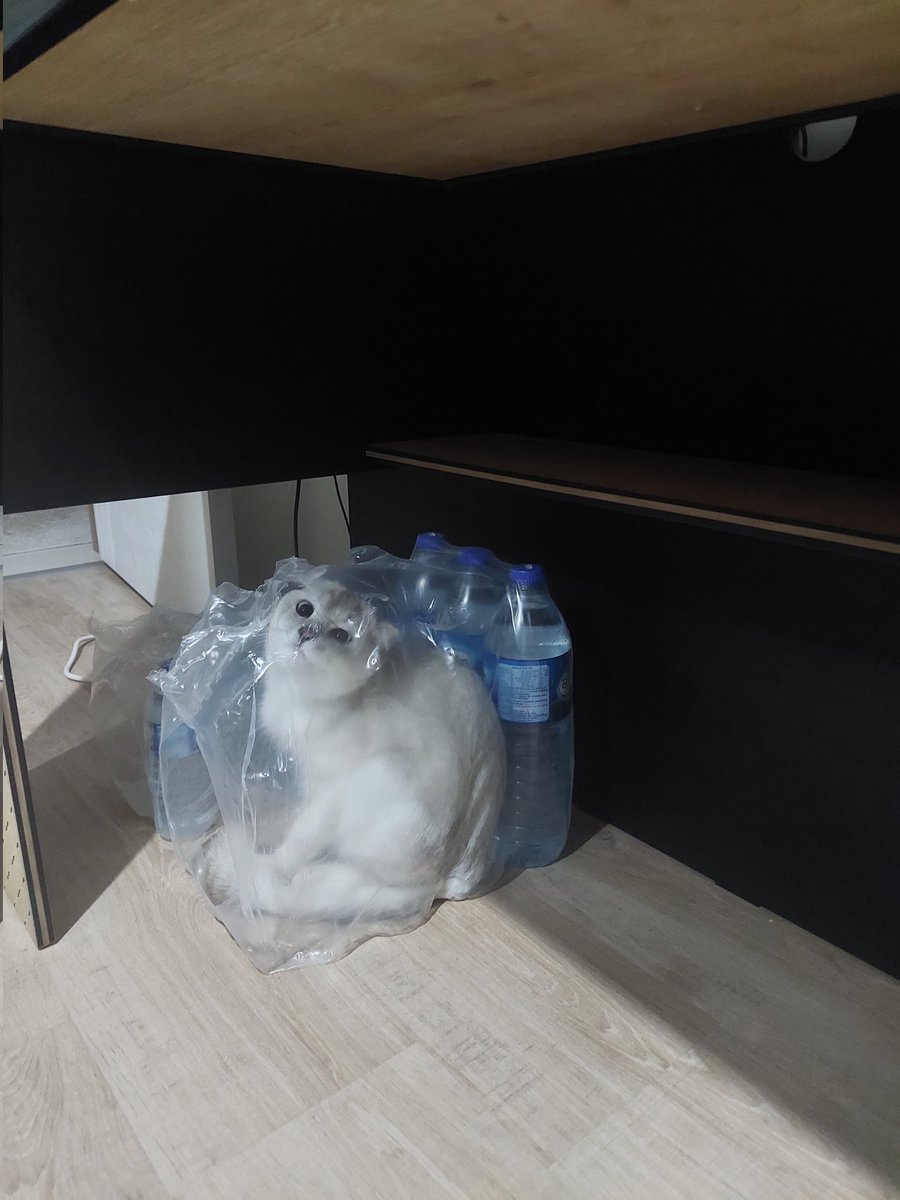 kudurumkluğum tutmuçtu