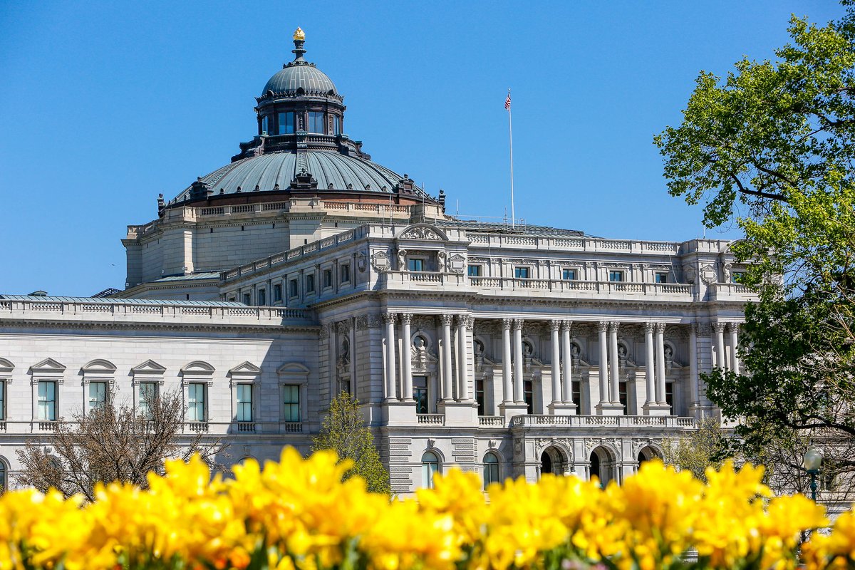 Library of Congress (@librarycongress) on Twitter photo Don't you just ❤️ libraries? Celebrate National Library Week by visiting your local library, getting a library card, or checking something out from your local branch! Don't you just ❤️ libraries? Celebrate National Library Week by visiting your local library, getting a library card, or checking something out from your local branch!