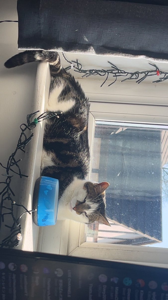 ROSE VET BILLS (for now) THAT THE GOFUNDME DIDNT COVER COMES TO A TOTAL OF LITERALLY £8.08

EIGHT POUNDS AND EIGHT PENNIES.

THANK YOU.

i hope i can find a more fulfilling way of showing gratitude soon.

:D