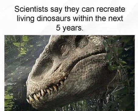 <a href="/elonmusk/">Elon Musk</a> Get ready 🤪🤪….fun is coming on the way🤣😂😜