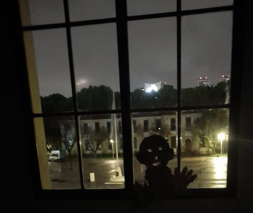DaanDerto's tweet photo. @VioleGimpe No te quedes hasta tarde que se te aparece este chad https://t.co/SmrNufbn6I