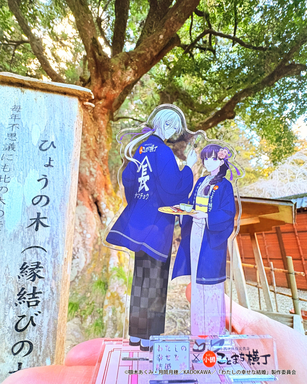 わたしの幸せな結婚×小國ことまち横丁」3月12日よりコラボ決定