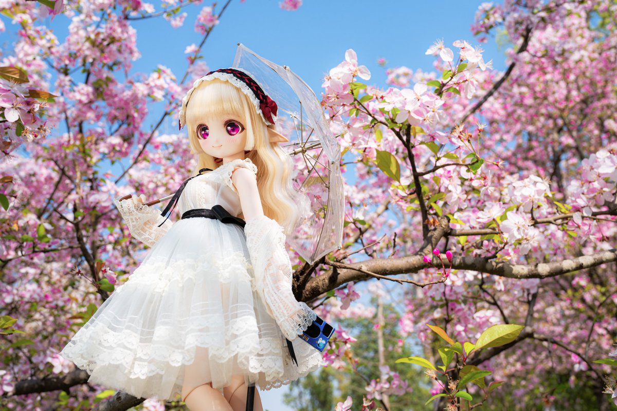 moekooli's tweet photo. #MDDはいいぞ 
#うちのこかわいい https://t.co/OmxbI2GEl5