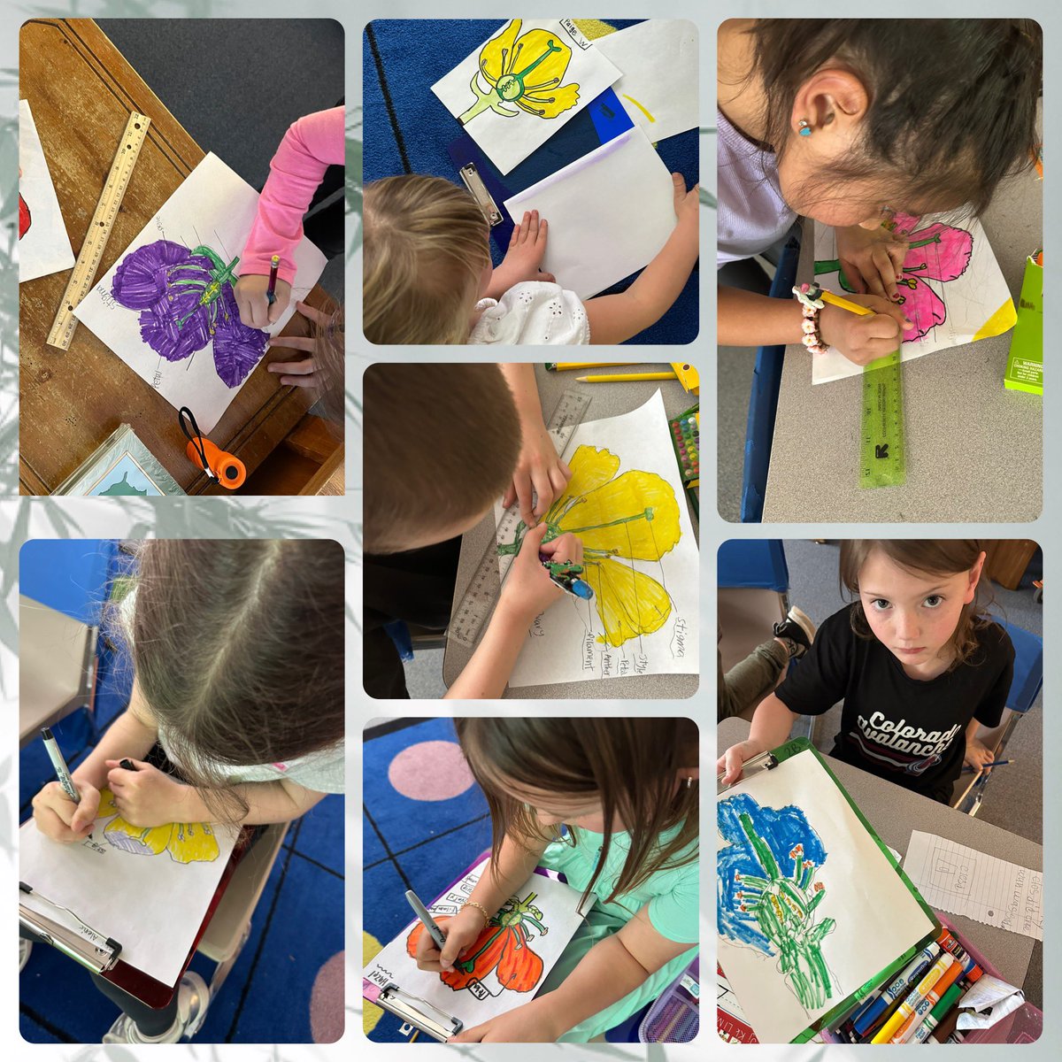 2nd Graders learning about all of the intricate parts of seeds, plants and flowers to learn about how pollination works! They are loving this unit of study! 🌱 #eyestoneiswheretheHEARTis