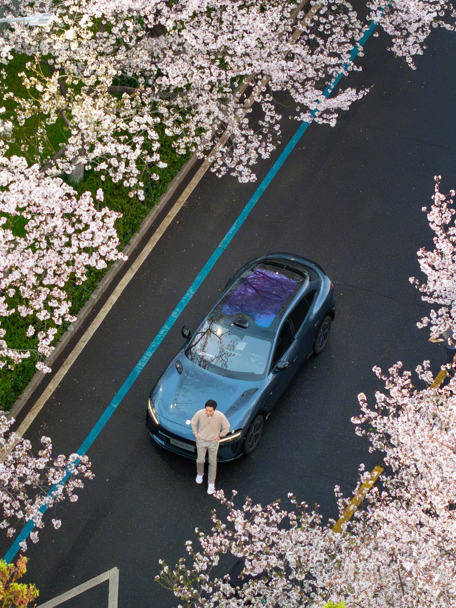 Early risers checking out the beautiful cherry blossoms. 🌸