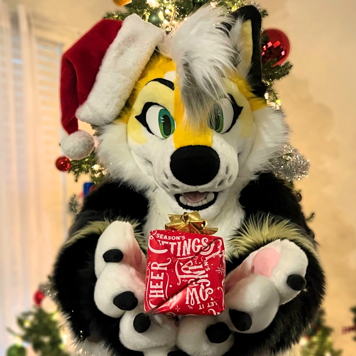 SugarFolf's tweet image. Hi my name is Sugar!

I&apos;m a Senior Video Game Designer in Texas.
I have two fursonas; Sugar &amp;amp; Nord, and I love that they make people smile.

Check me and my art out in these places:
sugarfolf.carrd.co 

Fursuit by: @/FreakyStudios
Art by: @/corzh77 &amp;amp; @/Donutinha