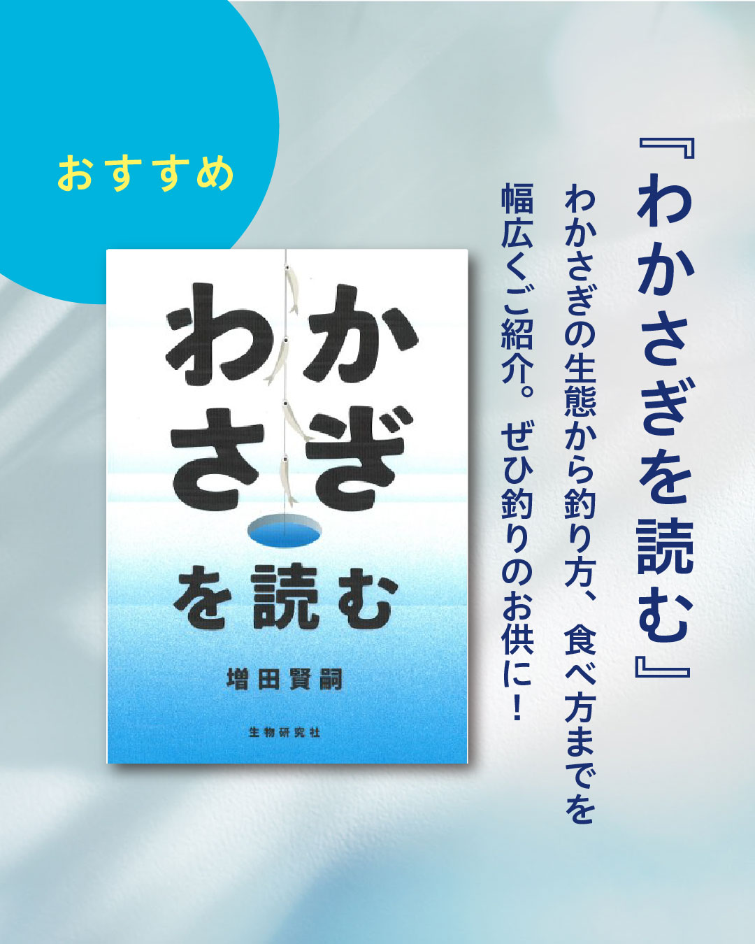 大人気アイテム 🐙生物研究社（海洋と生物）🐟 (@aquabiology) / X 生物学
