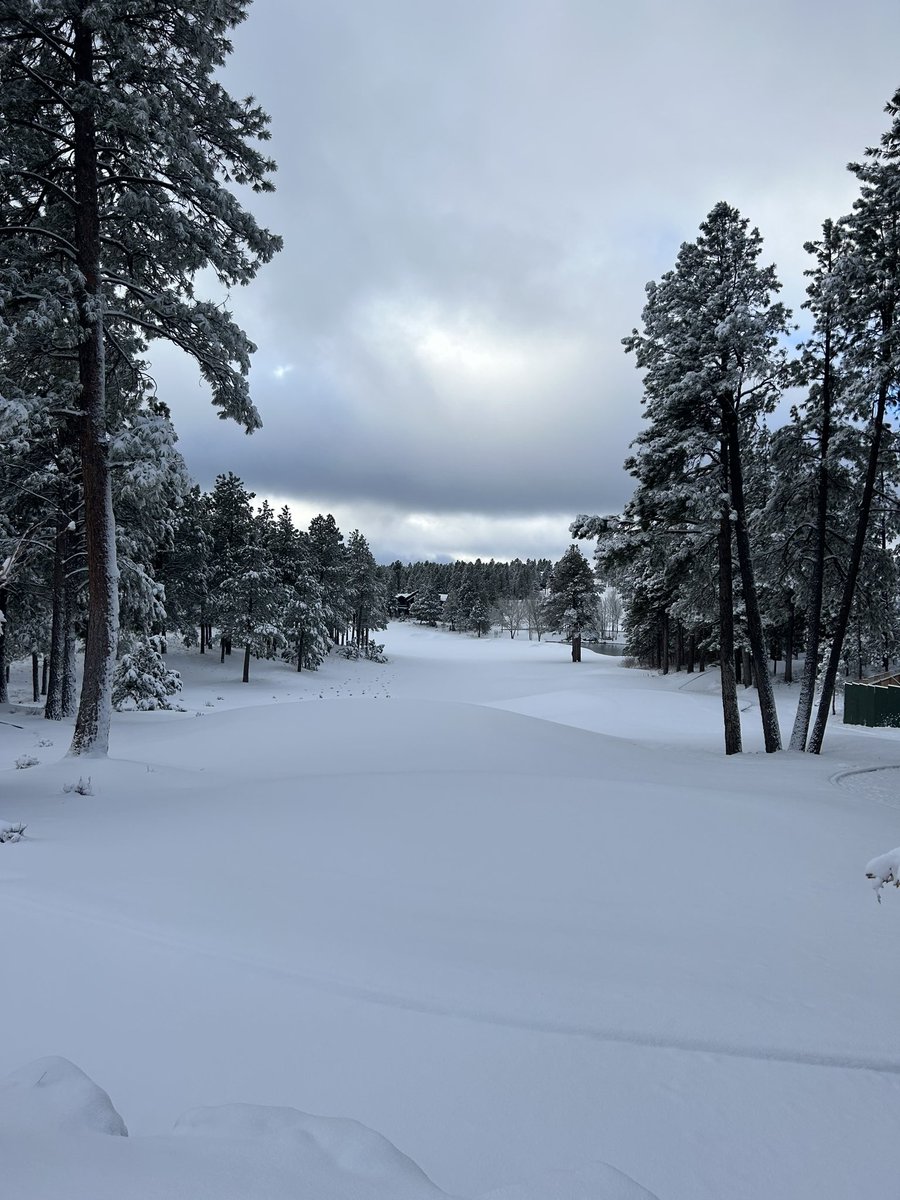 Ridge Gerstberger tweet media