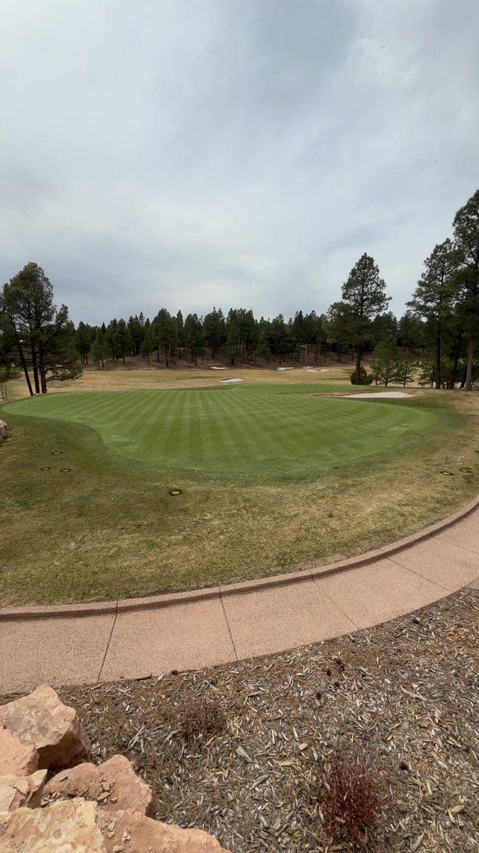 Ridge Gerstberger tweet media