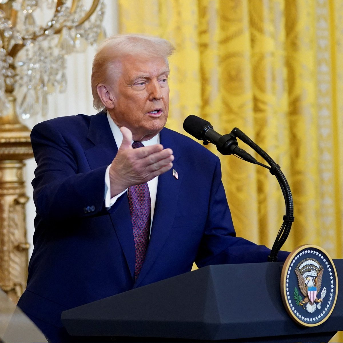 TheHindUVAACH's tweet photo. राष्‍ट्रपति #DonaldTrump ने अमेरिका में प्रवेश करने वाले सभी आयातित वाहनों पर 25% सीमा शुल्‍क लगाने की घोषणा की। 

वाहनों पर नए आयात कर 2 अप्रैल से लागू होंगे। 

#US #NewTariff #Tariff @realDonaldTrump #VehicleTariff @POTUS @JDVance #USA https://t.co/5ryyDU3HA9