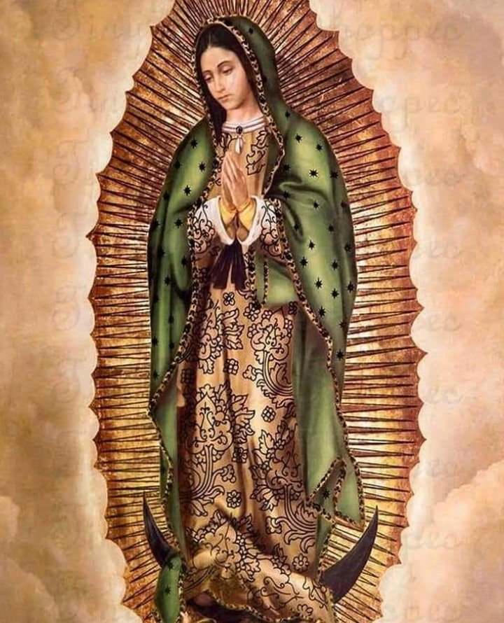 ✝️ Dios te salve, María, 
llena eres de gracia;
el Señor es contigo.
Bendita Tú eres 
entre todas las mujeres,
y bendito es el fruto de tu vientre, Jesús. 

Santa María, Madre de Dios,
ruega por nosotros, pecadores,
ahora y en la hora de nuestra muerte. Amén 🙏
