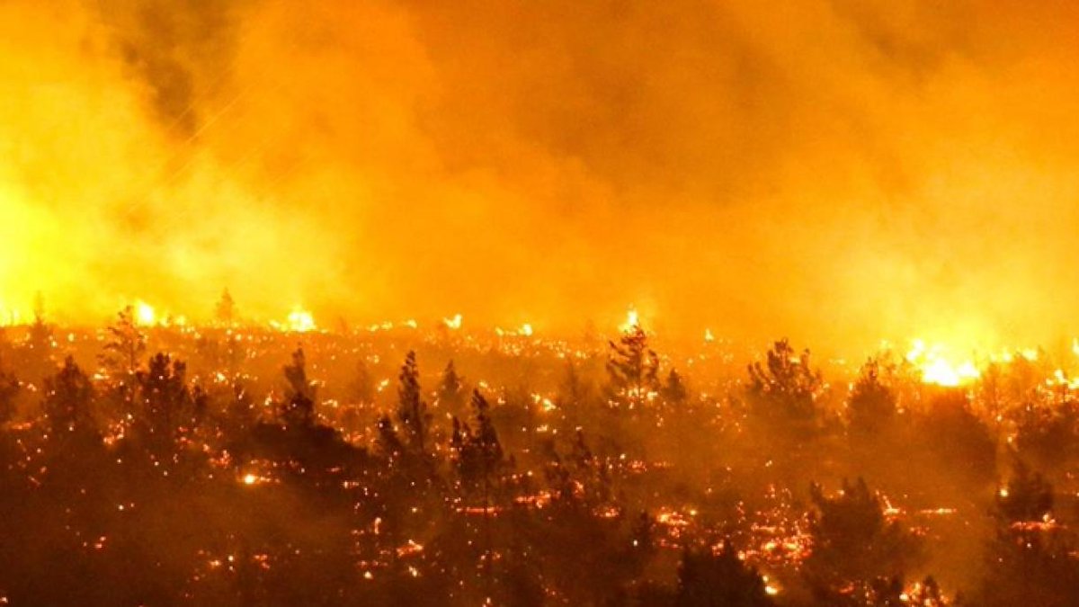 #ALERTA | Video: Incendio en el Parque Lorne Ross en Santa Ana. Diputada Kattia Cambronero realiza severas acusaciones sobre este extraño incendio:

culturacr.net/incendio-en-el…

#CulturaCR