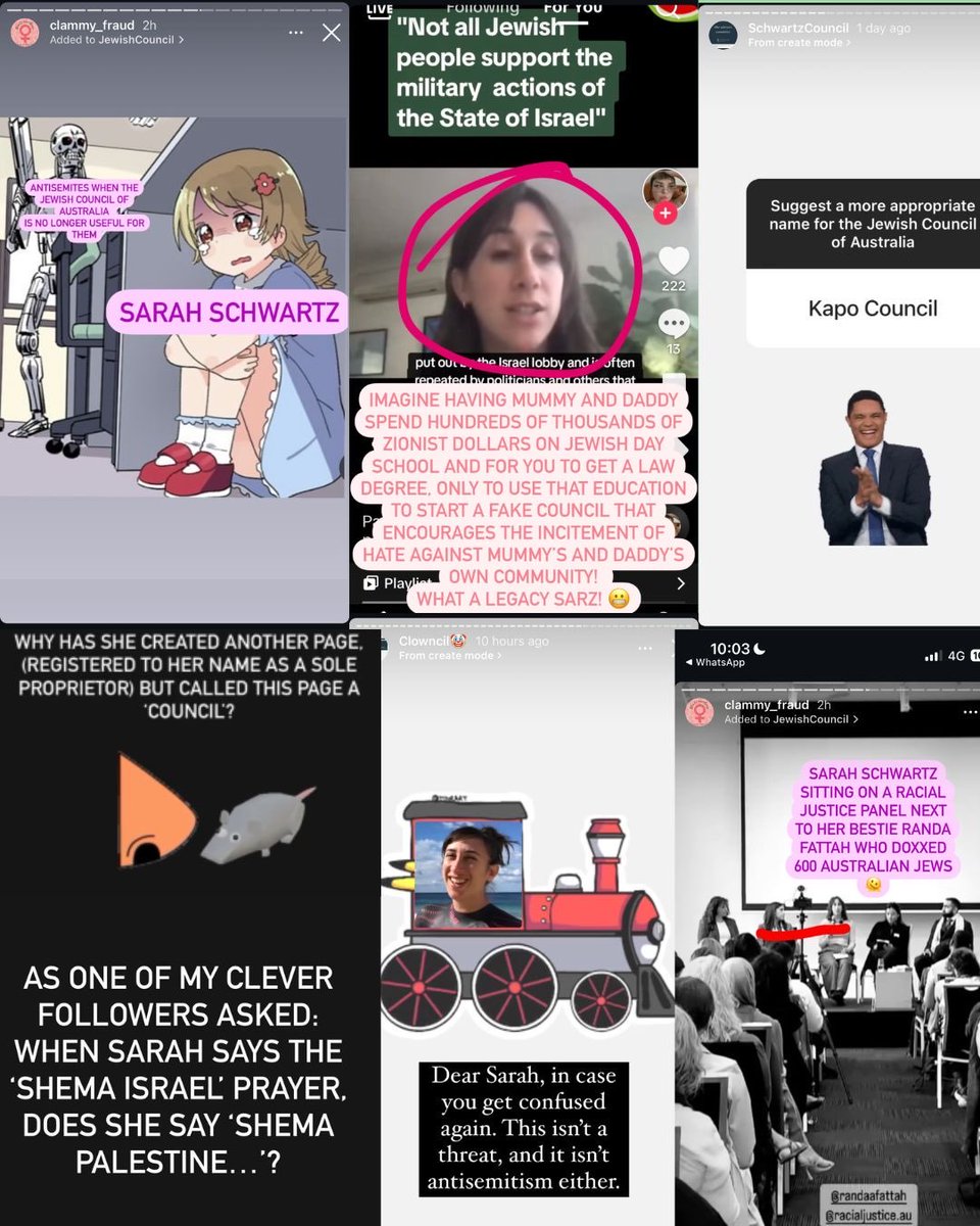 Here are just some of the 670+ posts Zara has made about Sarah and the Jewish Council.