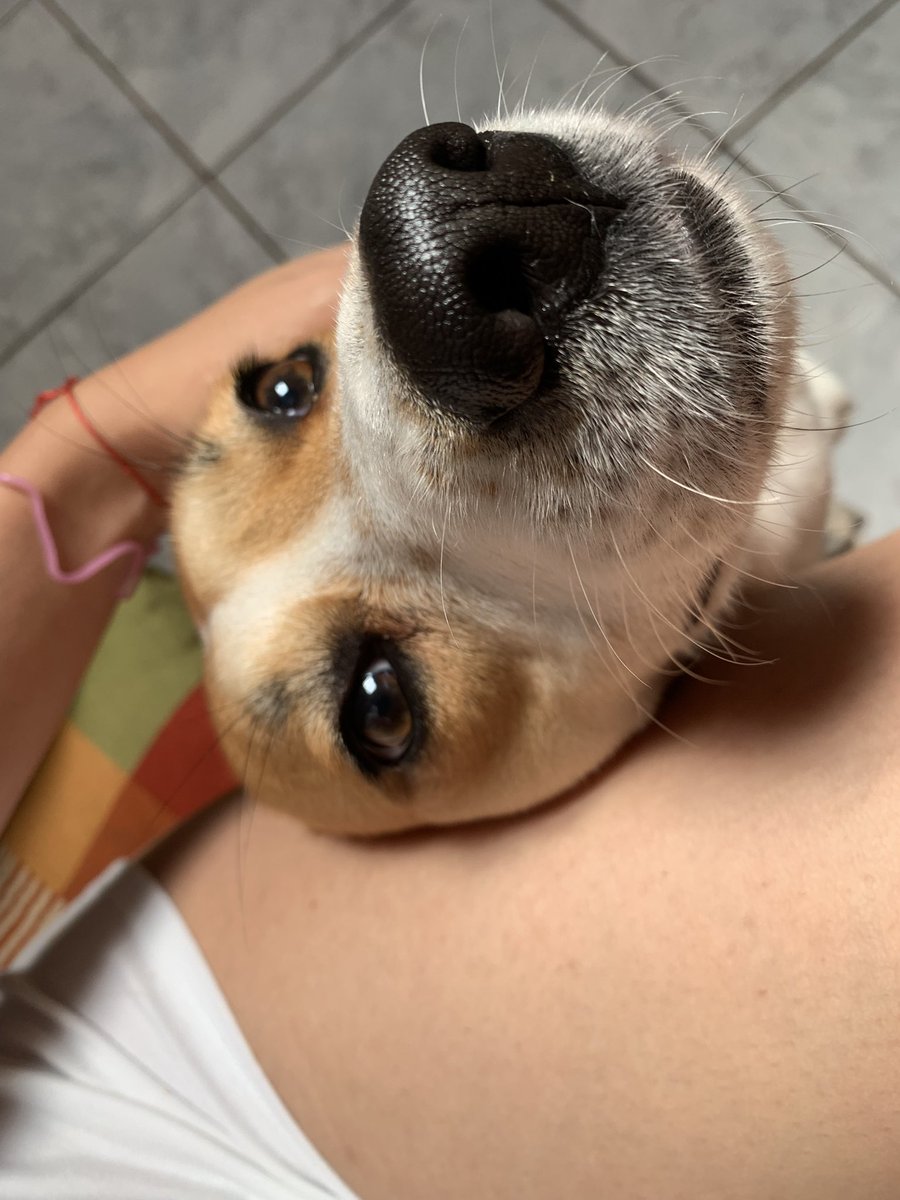 Tamiiiii tweet media