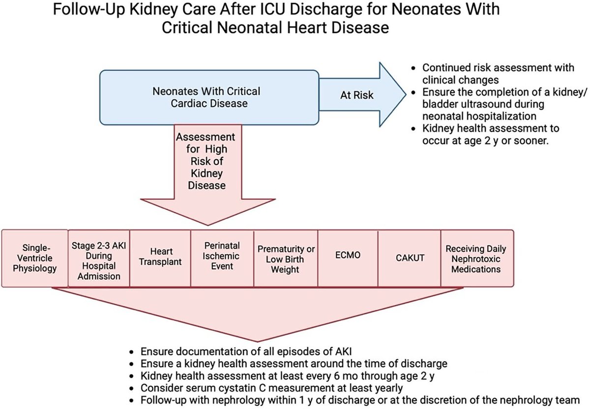 JAHA (@jaha_aha) on Twitter photo Kidney health surveillance is recommended for neonates with cardiac disease and risk for chronic kidney disease. #AHAJournals #Review <a href="/mdefrei13/">Marissa DeFreitas</a> <a href="/DanaFuhrman4/">Dana Fuhrman</a> <a href="/CatherineJ20/">Catherine J</a> <a href="/mcstarr1/">Michelle Starr MD MPH</a> <a href="/DDD_Askenazi/">David Askenazi MD, MSPH</a> <a href="/GistKatja/">Kat Gist</a> <a href="/NeonatalKidney/">Neonatal Kidney Collaborative (NKC)</a> <a href="/WEROCK_Team/">we rock</a> ahajrnls.org/3RkiMCg Kidney health surveillance is recommended for neonates with cardiac disease and risk for chronic kidney disease. #AHAJournals #Review <a href="/mdefrei13/">Marissa DeFreitas</a> <a href="/DanaFuhrman4/">Dana Fuhrman</a> <a href="/CatherineJ20/">Catherine J</a> <a href="/mcstarr1/">Michelle Starr MD MPH</a> <a href="/DDD_Askenazi/">David Askenazi MD, MSPH</a> <a href="/GistKatja/">Kat Gist</a> <a href="/NeonatalKidney/">Neonatal Kidney Collaborative (NKC)</a> <a href="/WEROCK_Team/">we rock</a> ahajrnls.org/3RkiMCg