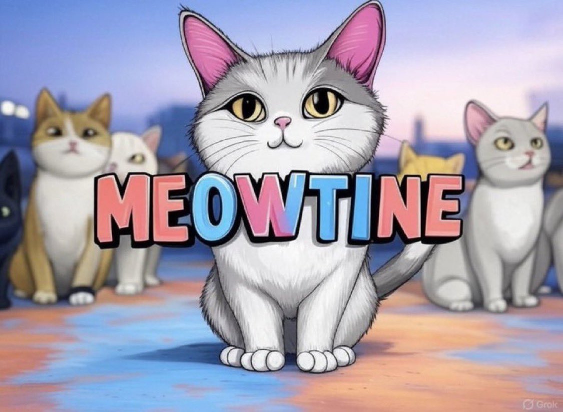 MartinWeb42 tweet media