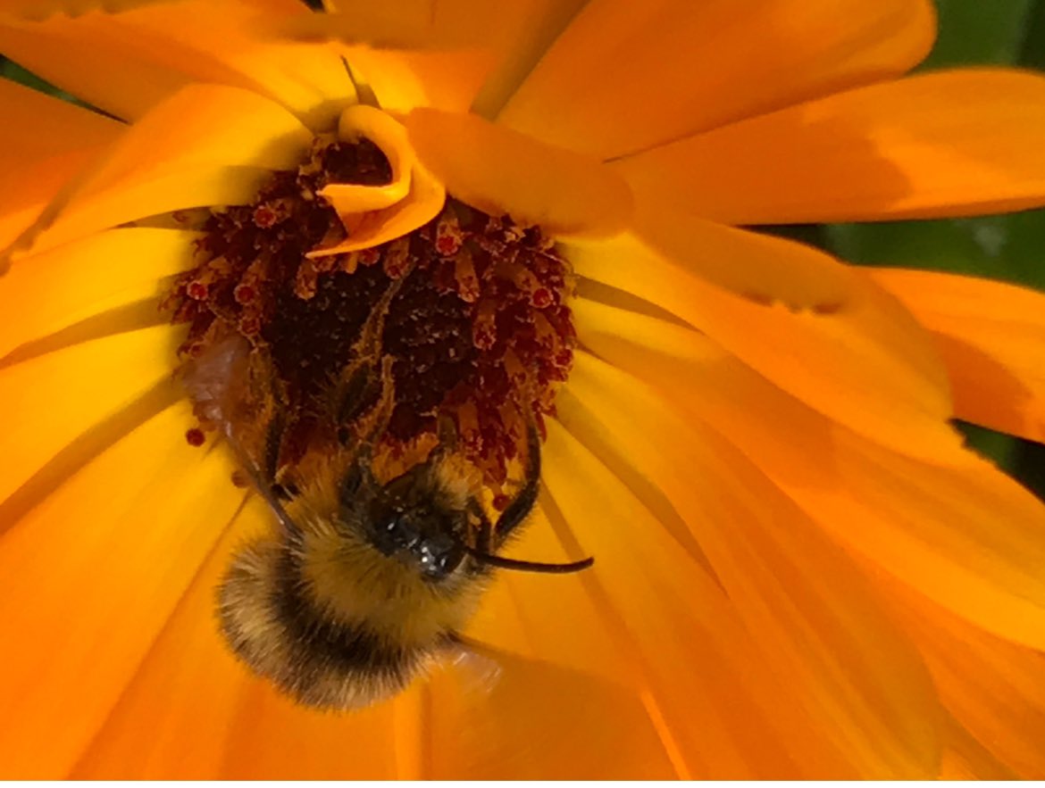 Being grateful for small things can really help to bring a positive outlook and improve self esteem. #selfesteem #mentslwellbeing