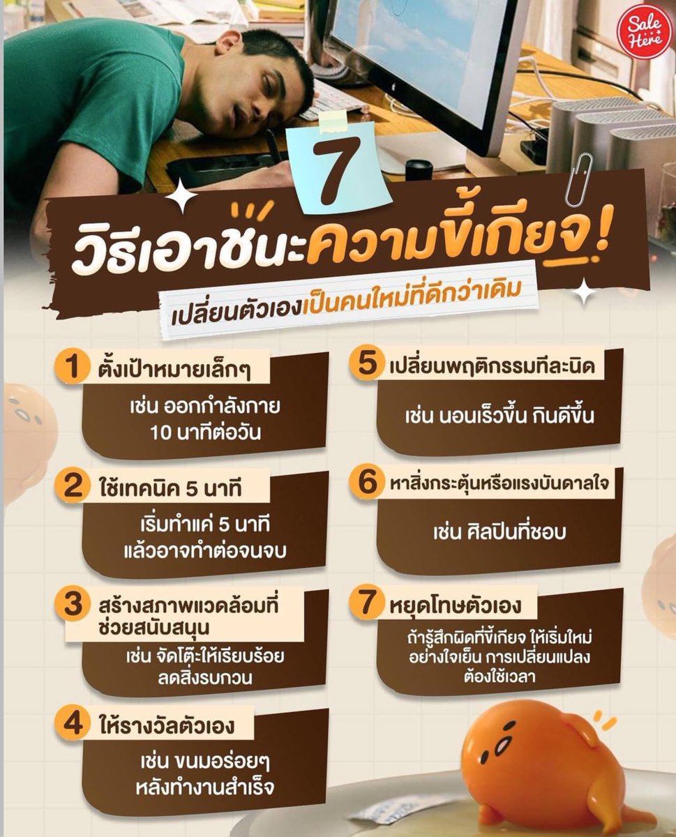 เอเวอร์เรส tweet media