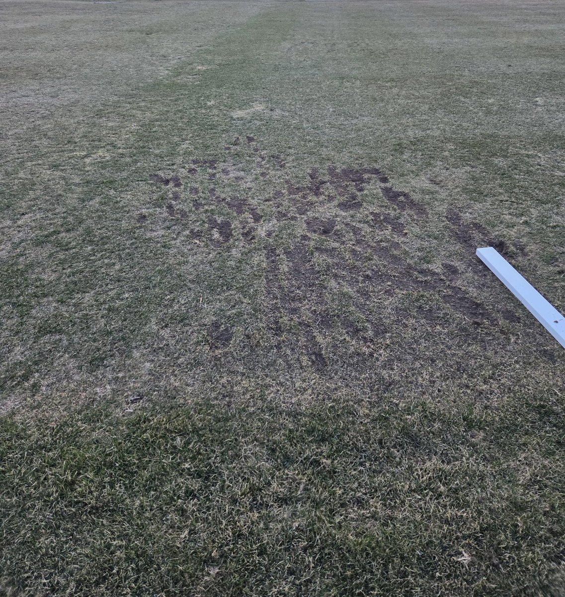 Sand Trapped Luke tweet media