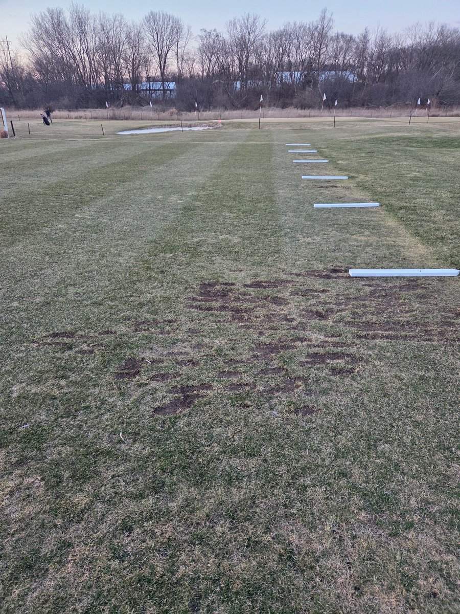 Sand Trapped Luke tweet media