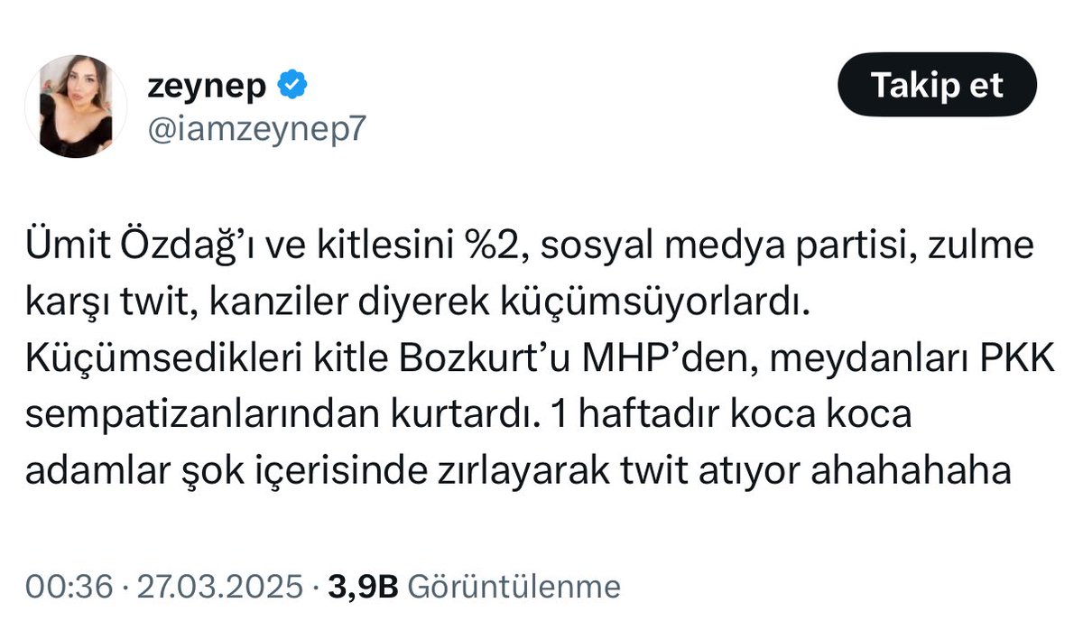 Zafer Partili bir sosyal medya kullanıcısının eylemlere dair yorumu.