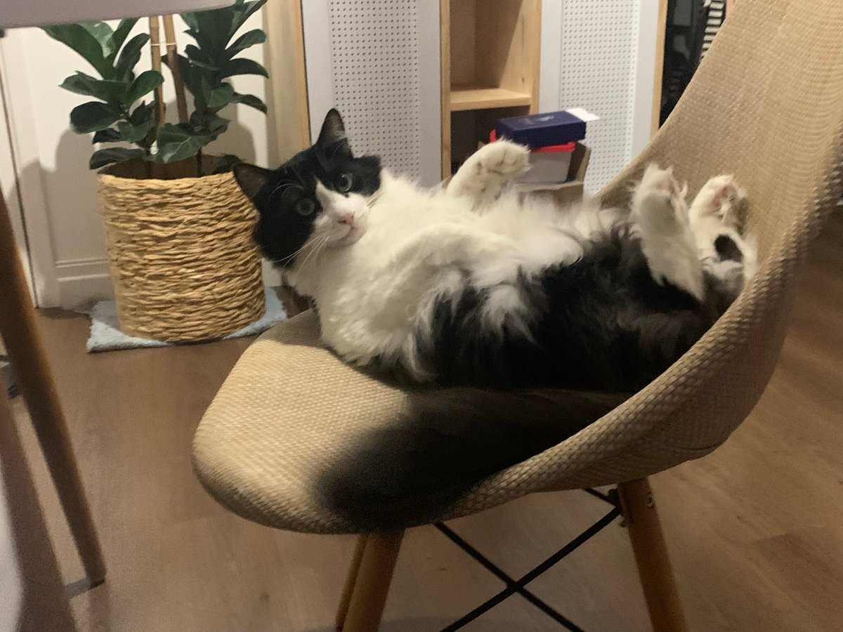 Gustavo Coutinho tweet media