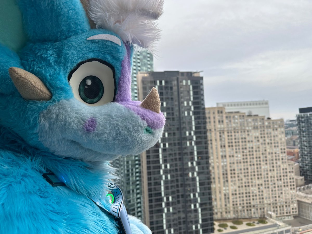 Ruffle 🏢🐾 tweet media