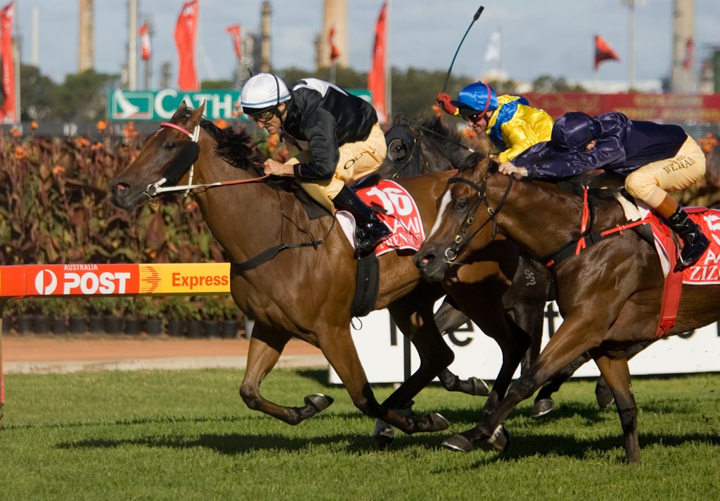 ArrowfieldStud's tweet photo. Golden Slipper heroine &amp; Champion 2YO Filly plus victories in the G1 Myer Classic &amp; Queen Of The Turf. Bred by Vinery, Forensics was purchased by Woodlands Stud from Arrowfield's #InglisEaster draft. 
#Group1Graduates #WhereDiamondsAreDiscovered https://t.co/hpfMEvscTX