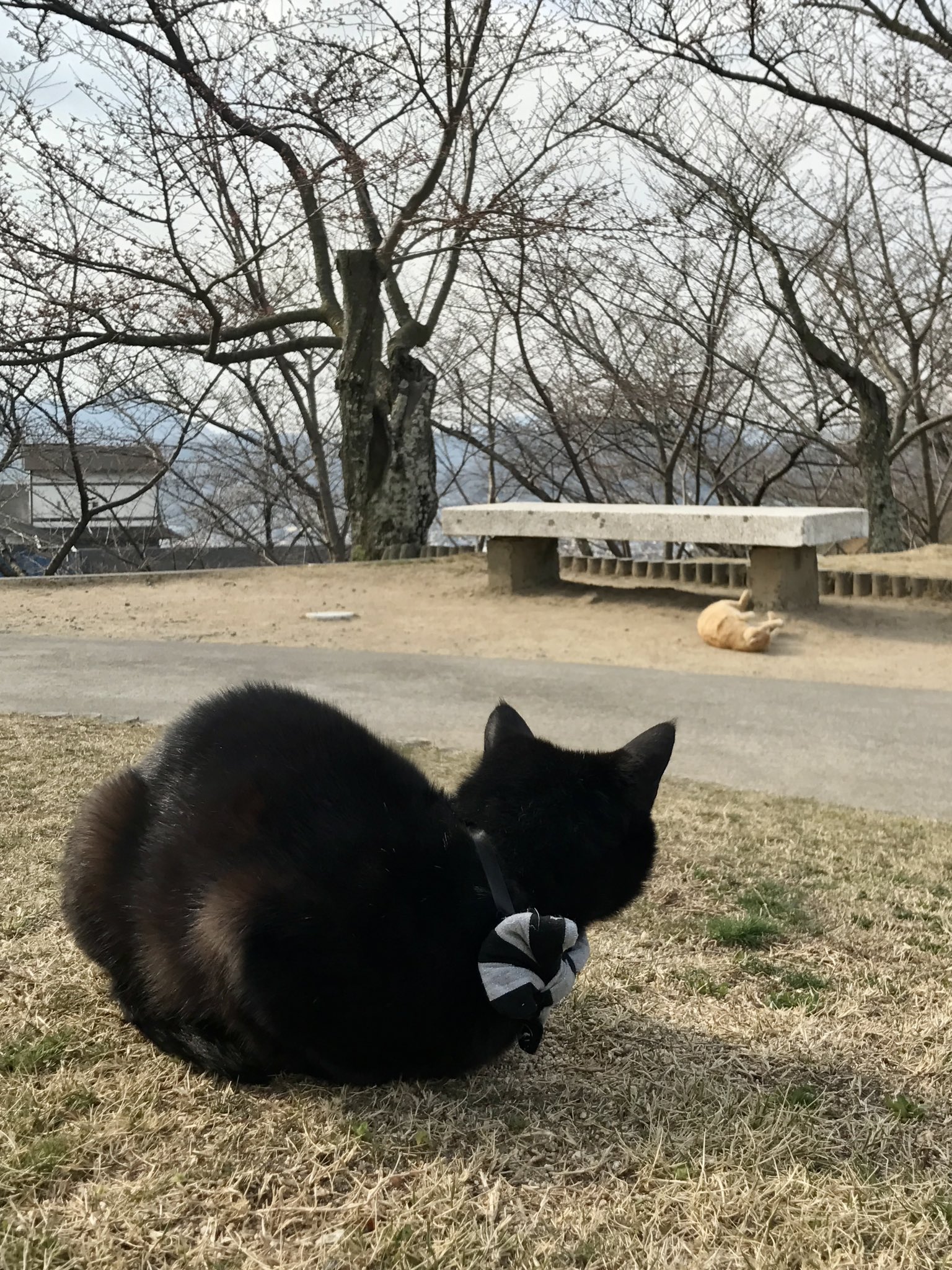 尾道市立美術館 on X: 尾道市立美術館 on X:
