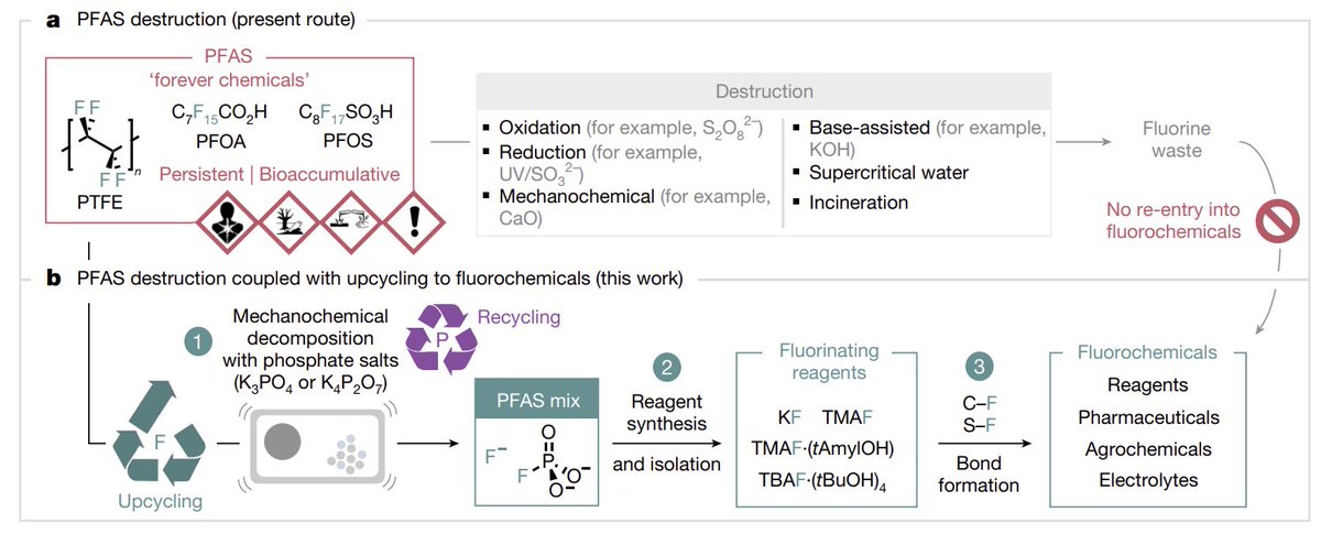 We’re excited to announce that our <a href="/Nature/">nature</a> paper on phosphate-enable mechanochemical PFAS destruction for fluoride reuse is now online! A heartfelt thank you Veronique and the whole pfas team <a href="/OxfordChemistry/">Oxford Chemistry</a>